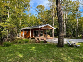 Owl Cabin - Forest Retreat nearby Lake - not on waterfront